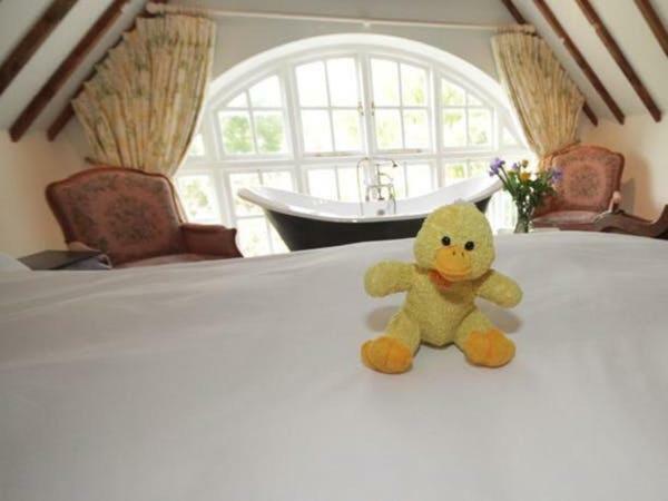 Cherry Orchard Farm South Wraxall Εξωτερικό φωτογραφία